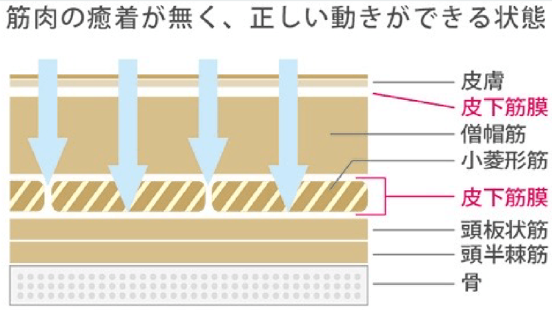 パフォーマンスを最⼤限に引き出します
