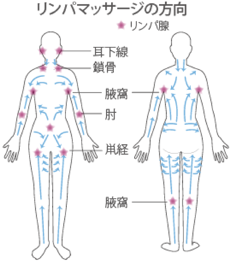 プロの施術者が使⽤するボディマッサージクリーム